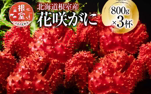 D-20012【年内配送可】 【北海道根室産】花咲かに800g×3尾(計2.4kg)