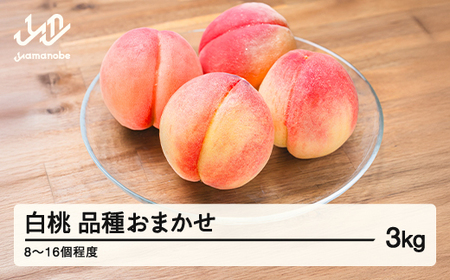 《先行予約》2026年 山形県産 もも 白桃 品種おまかせ 化粧箱入り 約3kg  令和8年産 mm-mokox3000