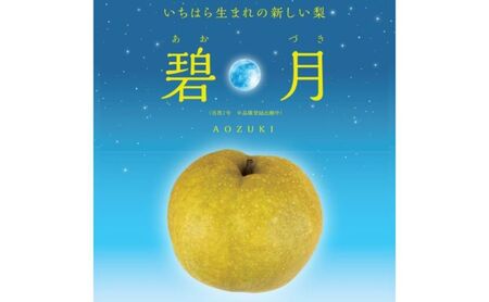 【限定30セット】いちはら梨オリジナル品種　碧月（あおづき）3キロ 梨 なし 希少 濃厚 オリジナル 市原市 千葉