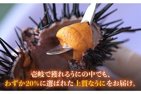 老舗の厳選 おさだの生うに 120g ( 60g × 2本 ) 生ウニ 生うに 雲丹 紫ウニ ムラサキウニ 【長田商店】[JAO001]   プレゼント ギフト 冷凍配送 九州