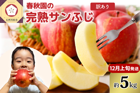 【2025年12月上旬発送】【訳あり】りんご5kg青森産春秋園の家庭用完熟サンふじ