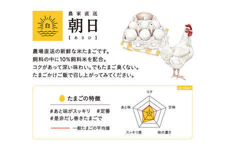 【6ヵ月定期便】ココテラスの朝日（白たまご）15個 + 5個保証（計20個）