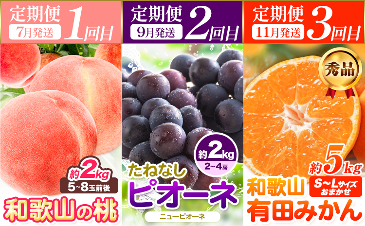 人気フルーツ全3回（7月・9月・11月）定期便 厳選館《7月上旬-11月末頃出荷》和歌山県 日高川町 果物 フルーツ 和歌山の 桃 種なし ピオーネ 有田 みかん 送料無料【配送不可地域あり】{【配送