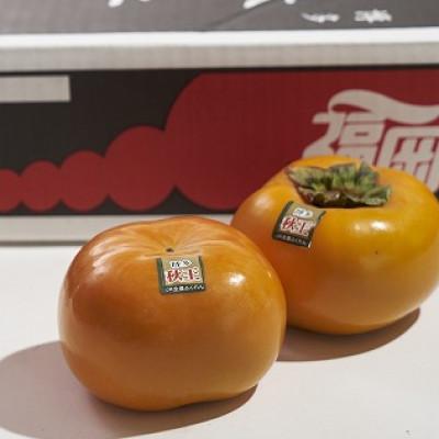 ふるさと納税 福岡市 【先行受付】福岡県産限定オリジナル柿・秋王・約1.5kg(福岡市返礼品) |  | 01