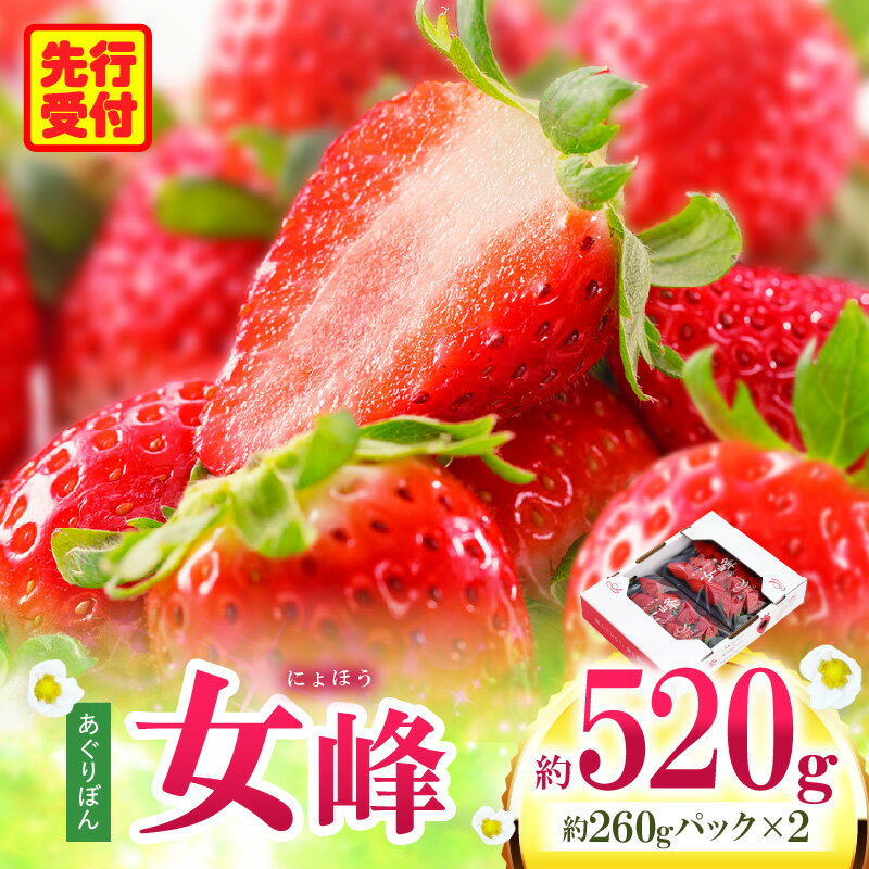 【ふるさと納税】あぐりぼん　いちご「女峰」　約260gパック×2個（約520g） いちご 果物 フルーツ デザート ストロベリー 果肉 スイーツ 甘い 国産 贈り物 贈答 プレゼント グルメ 人気 おすすめ 季節 旬 旬の果物 香川県 三木町 送料無料