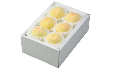 岡山 白桃 エース 4～8玉 計約1.2kg 岡山県産 【2026年7月上旬～8月下旬迄発送予定】 フルーツ 果物 くだもの モモ 桃 もも 冷蔵 国産