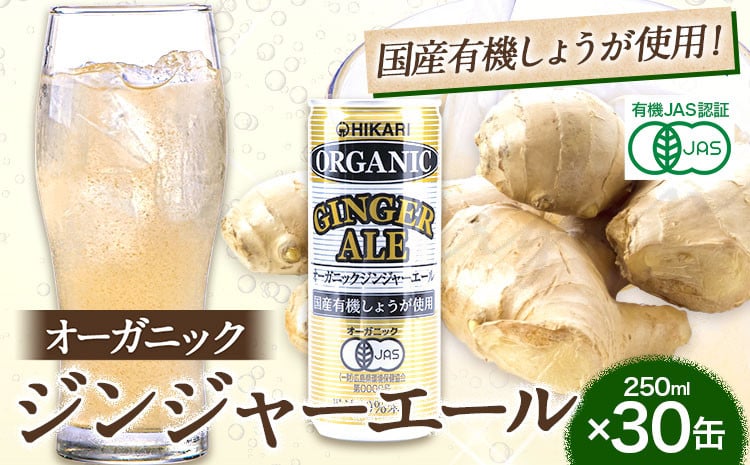 
            ジンジャーエール 250ml×30缶 光食品株式会社《30日以内に出荷予定(土日祝除く)》徳島県 上板町 ジュース 炭酸水 光食品 ジンジャーエール オーガニック 有機 st-p
          
