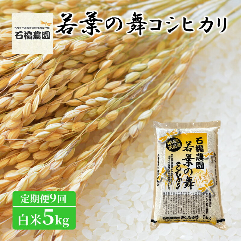 【ふるさと納税】米 若葉の舞 コシヒカリ 白米5kg 定期便9回 こしひかり お米 白米 定期便 精米 千葉 千葉県 低温保存