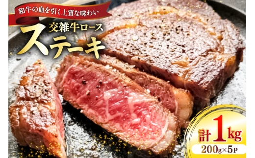 牛肉 国産交雑牛ロース ステーキ 200g 5パック 計1kg [​​ユーエイエム 愛知県 江南市 ko23btu600022] ロース 和牛 国産牛 牛ロース 霜降り 赤身 真空パック 個包装 小分け 冷凍 1キロ BBQ バーベキュー 焼肉