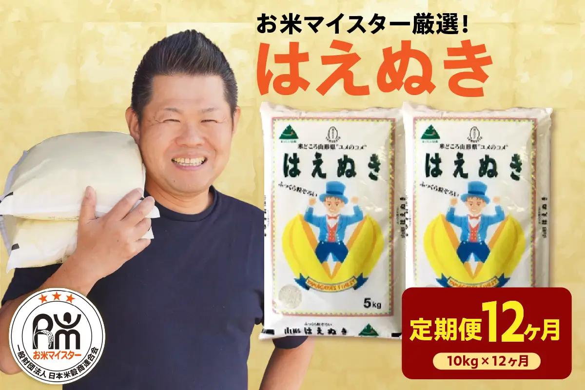 【先行予約】12ヶ月 定期便 令和8年産 はえぬき 10kg×12回 計120kg