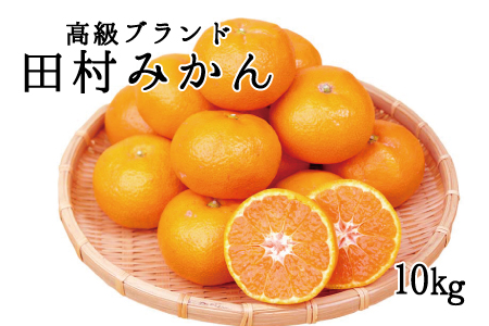 田村みかん 10kg【予約】みかん 【uot505A】