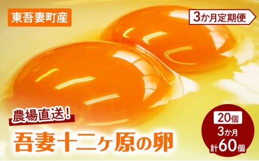 
                  【3か月連続お届け】農場直送！吾妻十二ヶ原の卵（20個） 二黄卵 鶏卵 たまご タマゴ 卵 安心 こだわり 食卓 卵かけごはん 堀田養鶏場 群馬県 東吾妻町
                