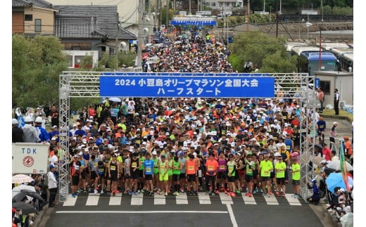 
                  【5/17開催】第49回 小豆島オリーブマラソン全国大会 出走権 1名様分【10kmコース】（参加賞付き）
                