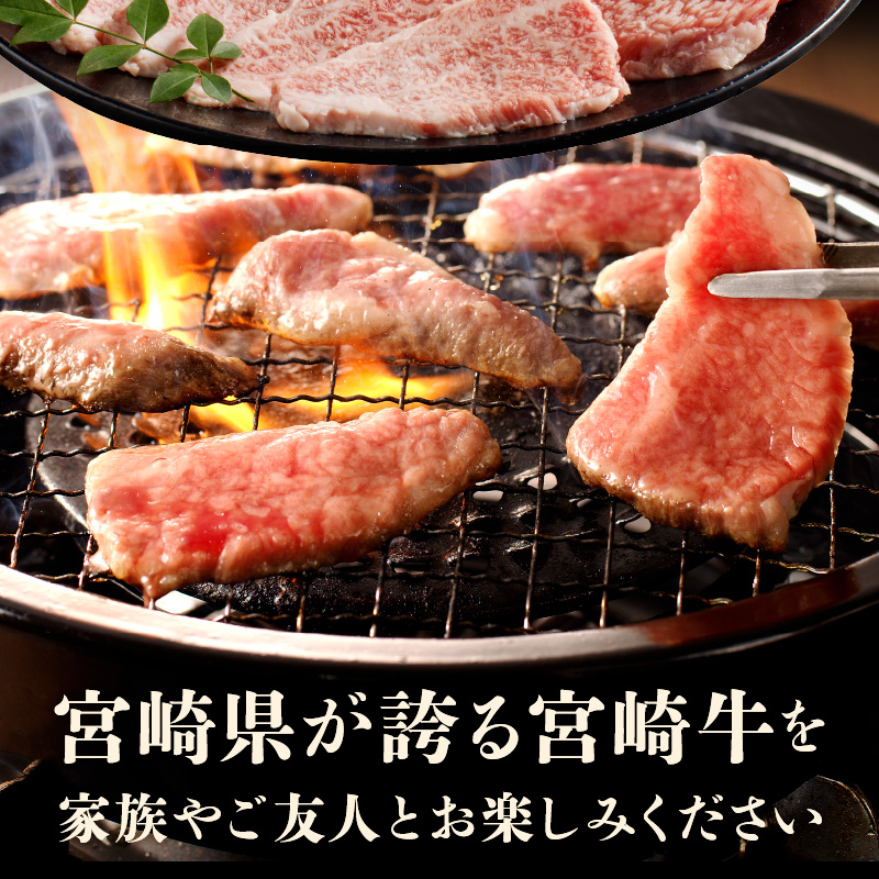 宮崎牛肩ロース焼肉 400g　N0140-A0368