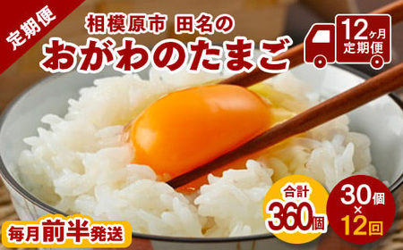 【12ヶ月定期便】【毎月前半発送】相模原市田名のおがわのたまご　ピンク卵　Mサイズ 30個(27個＋割れ補償3個)×12か月※着日指定不可