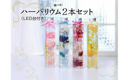 
ハーバリウム2本（青色・黄色）＆LED台[№5748-0242]
