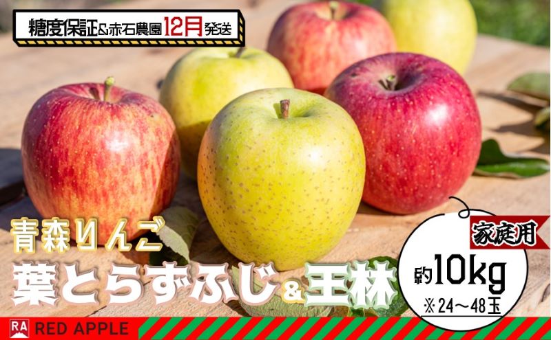 りんご 【 12月発送 】 13度糖度保証 家庭用 蜜入り 葉とらず ふじ ＆ 王林 約 10kg 【 弘前市産 青森りんご  果物 フルーツ 食後 デザート 旬の果物 旬のフルーツ りんご食べ比べ  】