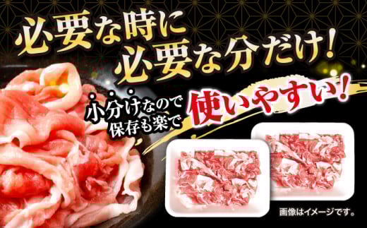 切り落とし 長崎県産 豚 切り落とし 約1kg（約500g×2パック） 豚肉 ブタ 豚肉 切り落とし 国産豚 きりおとし 切り落とし 小分け  ＜宮本畜産＞ [CFA003]