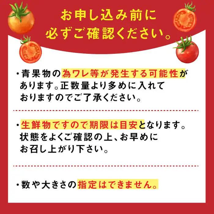 【2027年2月上旬発送】極ドトマト 1kg / 佐賀県 / 永尾産ち [41AAAC005]