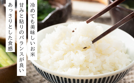 令和7年産！ファーム坂口の特別栽培米 ななつぼし精米 5kg