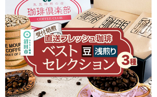 《受付焙煎》直送フレッシュ珈琲 ベストセレクション【豆／浅煎り】各200g×3種 計600g 珈琲倶楽部 沼田店 [コーヒー 珈琲 coffee]