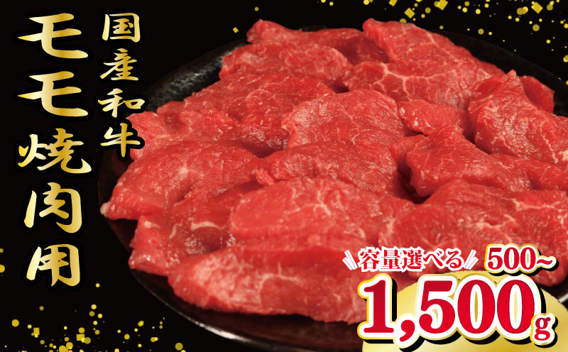 
            牛肉 もも 500g ～ 1.5kg えらべる容量 焼肉 国産和牛 和牛 焼き肉 赤身 にく ぎゅう うし バーベキュー BBQ やきにく お祝い イベント パーティー おかず おつまみ 贈答 プレゼント 徳島県 吉野川市
          