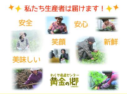 黄金の郷　季節のお野菜お楽しみBセット