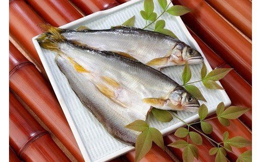 324 鮎開き 西京漬（3尾入り）(A324-1)