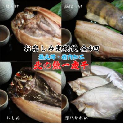 ふるさと納税 稚内市 【毎月定期便】日本最北端から 一夜干しお楽しみ便【 北海道の居酒屋気分】全4回
