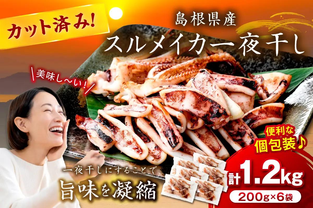 スルメイカ一夜干し（200g×6袋） 計1.2kg イカ 干物 【005_0118】