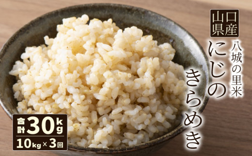 【先行予約】【定期便 3ヶ月】にじのきらめき 玄米 10kg 計30kg