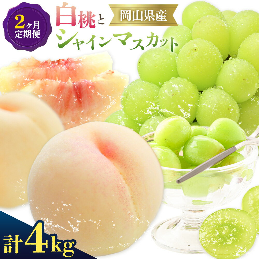 【ふるさと納税】ぶどう 白桃 2ヶ月 定期便 岡山 の 白桃 と シャインマスカット 計4kg 晴れの国おかやま館(漂流岡山)《8月下旬-9月下旬頃出荷》岡山県 笠岡市 桃 もも マスカット シャインマスカット 果物 フルーツ デザート 送料無料 【配送不可地域あり】（離島）