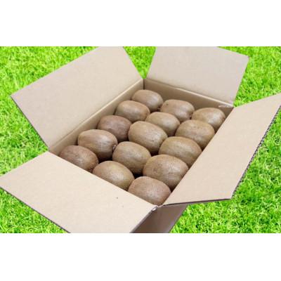 ふるさと納税 美浜町 【先行受付】【まごころ手選別】和歌山産　キウイフルーツ　　約2.4kg　秀品 |  | 01