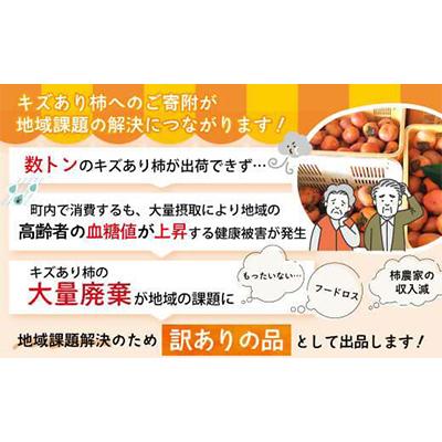 ふるさと納税 多気町 [令和8年度先行予約]優しい農園の次郎柿　10kg　家庭用 |  | 02