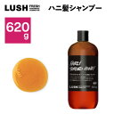 【ふるさと納税】LUSHハニ髪シャンプー620g【1448562】