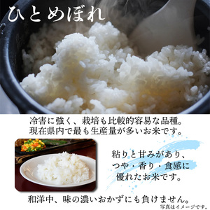 ひとめぼれ 玄米 10kg ／ 米 産地直送 【かきのうえ】