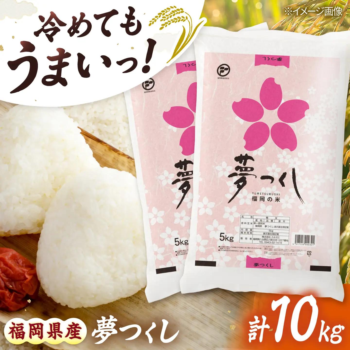 令和7年産 福岡県 夢つくし 10kg（5kg×2袋）[BGBZ002]