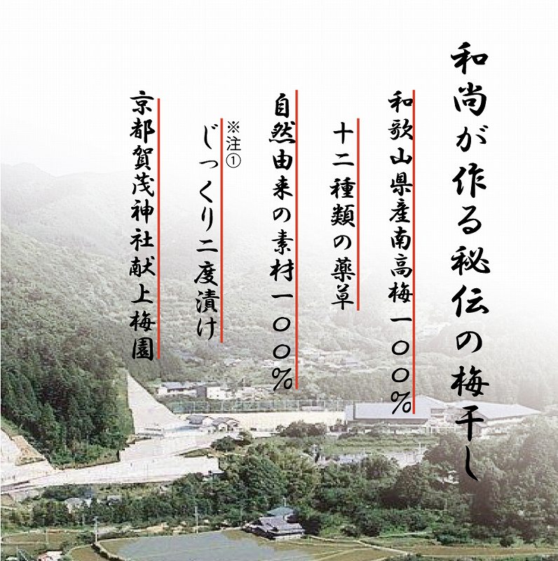 薬師梅【蜜(はちみつ味)】 yakushi002