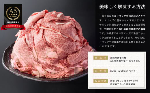 【最高品質A5等級 西都和牛】黒毛和牛切り落とし800ｇ（200ｇ×4）宮崎県産 小分け＜1.2-19＞【カミチクファーム】牛肉 肉 ビーフ 焼肉 すき焼き 大容量 宮崎県西都市