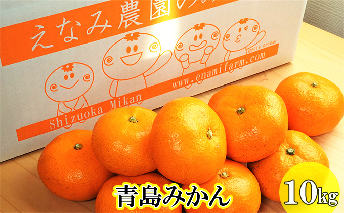 【2025年12月下旬以降順次発送】えなみ農園の青島みかん　10kg（L～2Lサイズ） 果物類 柑橘類 フルーツ ミカン 