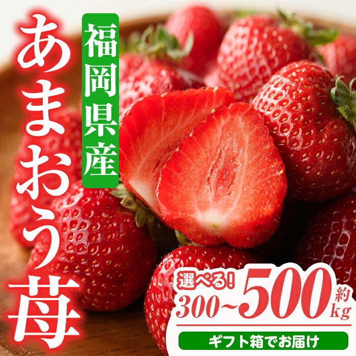 【ふるさと納税】＜容量を選べる・先行予約受付中！2025年11月下旬～2026年3月末に順次発送予定＞あまおう苺 ギフト箱(約300g or 500g)いちご 苺 フルーツ 果物 くだもの 福岡限定 贈答用 冷蔵 ＜離島配送不可＞【ksg0003・ksg0004】【南国フルーツ】