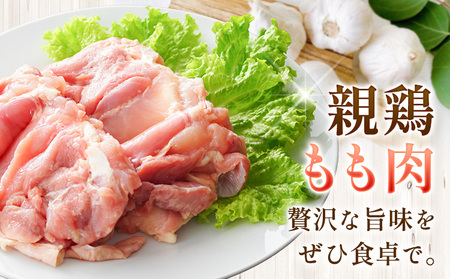 【ふるなびweek対象】親鶏 もも肉1.2kg《30日以内に出荷予定(土日祝除く)》FN-Limited