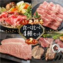 【ふるさと納税】飛騨牛 A5 食べ比べ4種セット（特選霜降りカルビ 173g・サーロインステーキ 228g・希少部位焼肉用 162g・ももすき焼き 216g）【冷凍 真空】牛肉 霜降り しもふり ステーキ もも すき焼き焼肉 牛 天狗 45000円