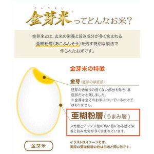 【 金芽米 】愛知県 美浜町産 にじのきらめき 5kg 無洗米｜米 糖質オフ