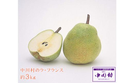 中川村産西洋梨　ラ・フランス　約３Kg