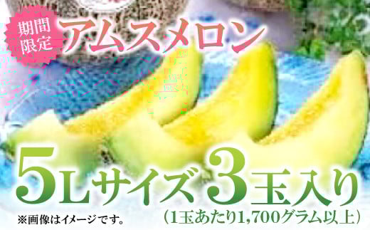 益田産アムスメロン　特大5Lサイズ（3玉入り）【先行予約 数量限定 期間限定 季節限定 早期予約 果物 くだもの フルーツ メロン アムスメロン 5L 3玉 青肉】