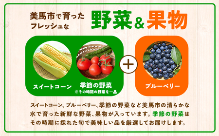 ふるさと小包詰め合わせ7月 約9種セット 美馬市ふるさと小包推進協議会《7月上旬-7月下旬頃出荷》詰め合わせ詰め合わせ詰め合わせ st-p
