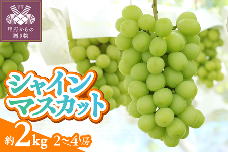 〈2025年度配送分〉甲府市産　シャインマスカット　約2.0kg（2～4房）