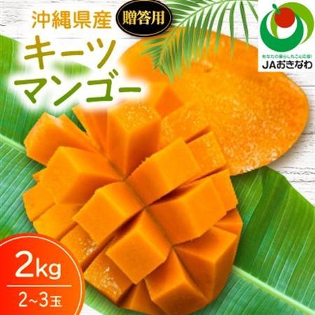 【2026年8月から順次発送・贈答用】JAおきなわ厳選 幻のキーツマンゴー2kg(2～3玉)【配送不可地域：離島】【1724305】