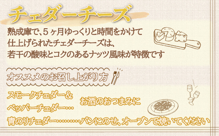 チーズ・ソーセージギフト 【 ふるさと納税 人気 おすすめ ランキング チーズ ソーセージ チェダーチーズ ゴーダチーズ スモークソーセージ チーズソーセージ 北海道 鹿追町 送料無料 】 SKH00